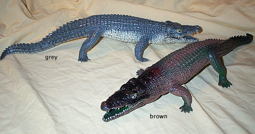 Nile Crocodile - Large