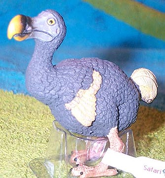 Dodo