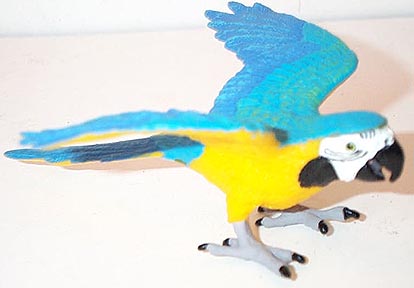 Blue and Gold Macaw