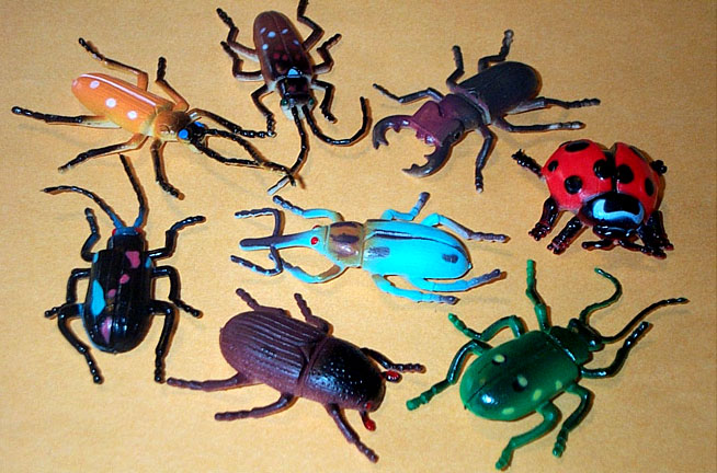 Insects - 8 small
