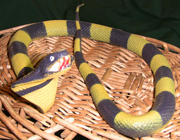 Rubbery Cobra - Yellow/Purple