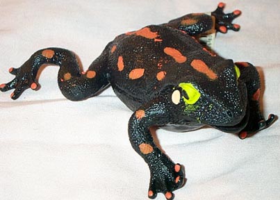 Pacific Tree Frog - Black Squooshy