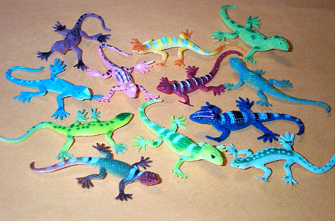 Lizards - Little Colorful