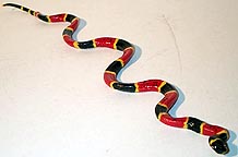 Coral Snake - 12"