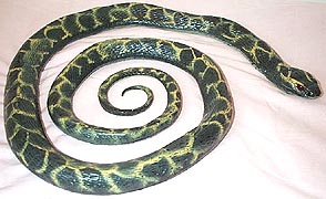 Kingsnake