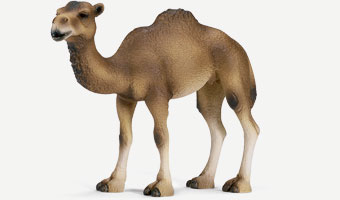 Dromedary by Schleich