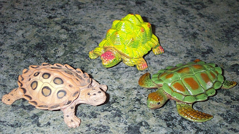 Turtles/Tortoises - Set of 3