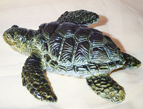 Loggerhead Turtle