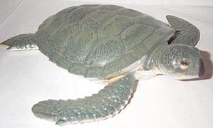 Green Sea Turtle - Large