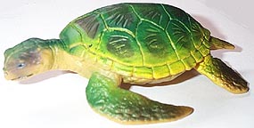 Sea Turtle