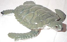 Green Sea Turtle - Small