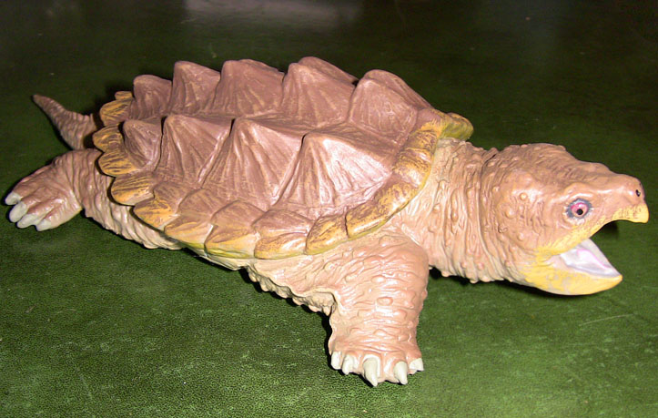 Alligator Snapping Turtle - Large