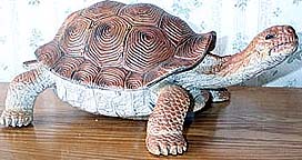 Tortoise - Large