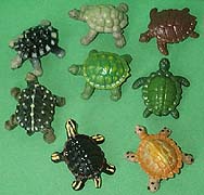 Tiny Turtles