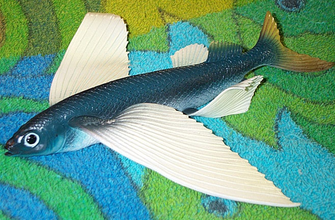 Flying Fish