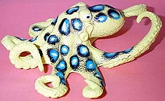 Octopus - Blue Ringed