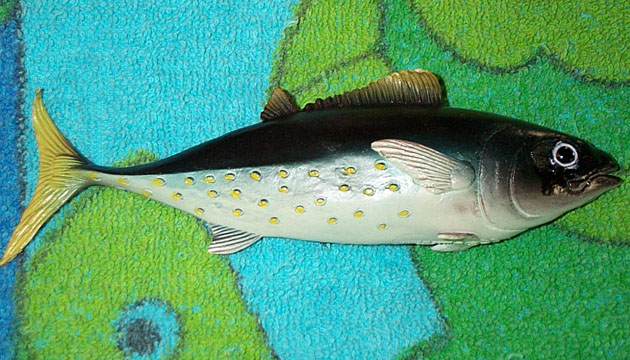 Tuna