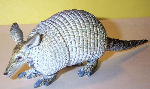 Armadillo