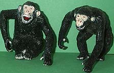 Chimps