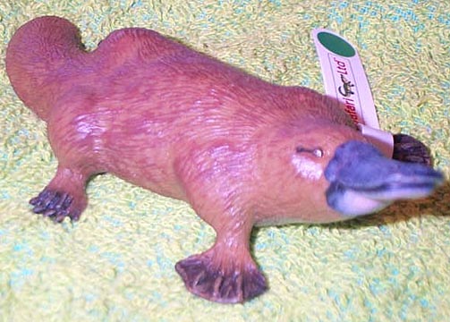 Platypus