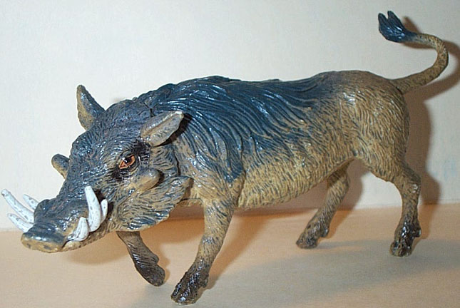 Warthog - Male
