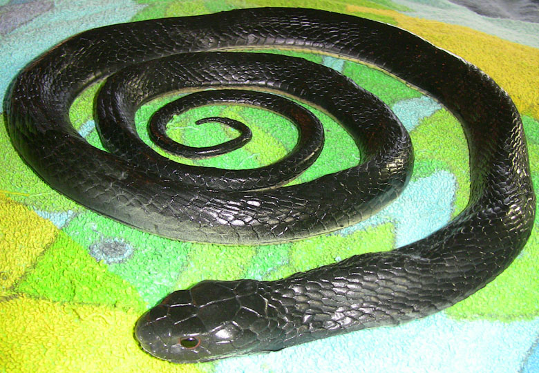 Black Snake