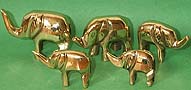 Brass Elephants - set of 5