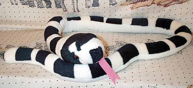 Bandy-Bandy Snake