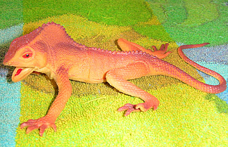 Orange Dragon Lizard