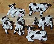 Cows - 6 Little Coldcast