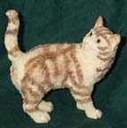 Cat - Red Tabby Coldcast