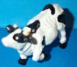 Cow - Little Coldcast
