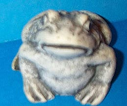 Frog - Coldcast