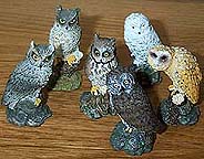 Owls - 6 Little Coldcast